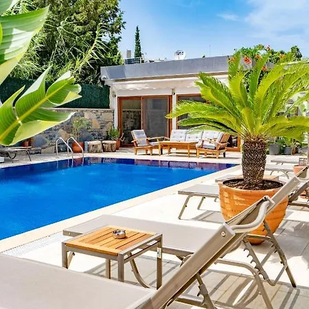 Maye グムベット